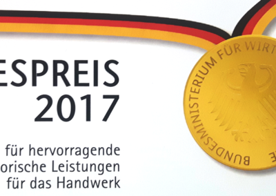 Bundespreis 2017 für hervorragende innovatorische Leistungen für das Handwerk