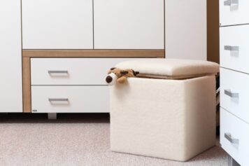 Nachhaltiger Sitzwürfel mit Stauraum, handgefertigt aus natürlichen Materialien Beiger Climacube Sitzwürfel aus 100 % Schafwollvlies mit abnehmbarem Deckel, in einem hellen Raum platziert – handgefertigt von Holzwelten Schlosser in Oelsnitz.