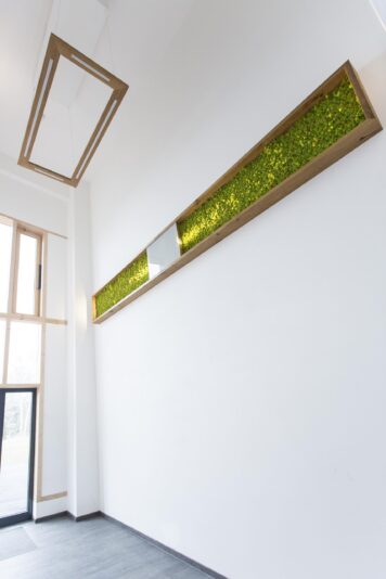 Natürliches Wandobjekt mit modernem Design Moosbild mit massivem Holzrahmen und integrierter Beleuchtung, handgefertigt von der Tischlerei Holzwelten Schlosser GmbH in Oelsnitz