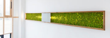 Handgefertigt in der Tischlerei Holzwelten, Oelsnitz/Vogtland Dieses handgefertigte Moosbild bringt Natur und Frische in jeden Raum. Gefertigt in der Tischlerei Holzwelten in Oelsnitz/Vogtland, kombiniert es hochwertiges Holz mit echtem, dauerhaft konserviertem Naturmoos. Die integrierte Beleuchtung setzt das Grün lebendig in Szene und schafft eine besondere Wohlfühlatmosphäre.